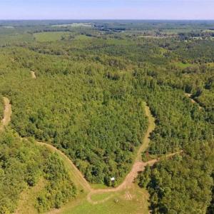 Photo of 200 Acres of Hunting Timberland and Agriculture Land For Sale with Pond in Warren County NC!