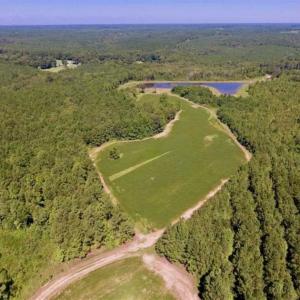 Photo of 200 Acres of Hunting Timberland and Agriculture Land For Sale with Pond in Warren County NC!