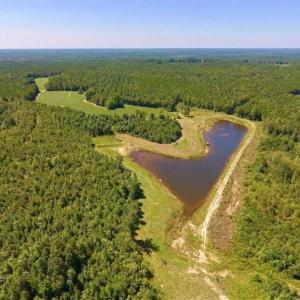 Photo of 200 Acres of Hunting Timberland and Agriculture Land For Sale with Pond in Warren County NC!