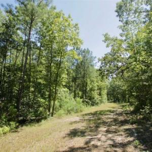 Photo of 200 Acres of Hunting Timberland and Agriculture Land For Sale with Pond in Warren County NC!