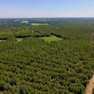 Photo of 200 Acres of Hunting Timberland and Agriculture Land For Sale with Pond in Warren County NC!