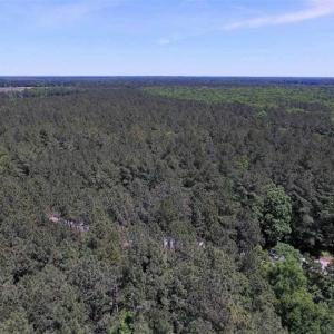 Photo of SOLD!!  5 Acres of Residential Land For Sale in Dinwiddie County VA!