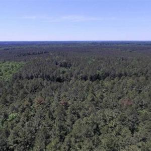 Photo of SOLD!!  5 Acres of Residential Land For Sale in Dinwiddie County VA!