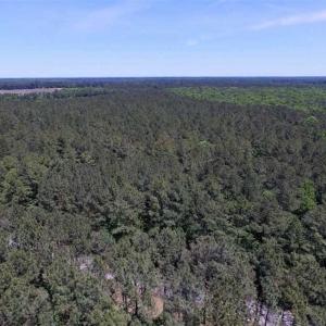 Photo of SOLD!!  5 Acres of Residential Land For Sale in Dinwiddie County VA!