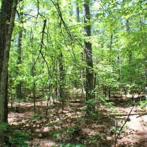 Photo of SOLD!!  5 Acres of Residential Land For Sale in Dinwiddie County VA!