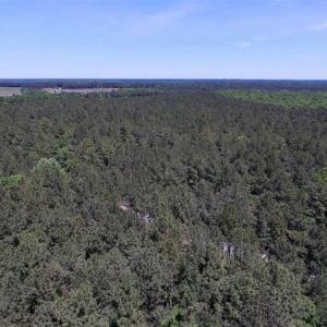 Photo of SOLD!!  5 Acres of Residential Land For Sale in Dinwiddie County VA!