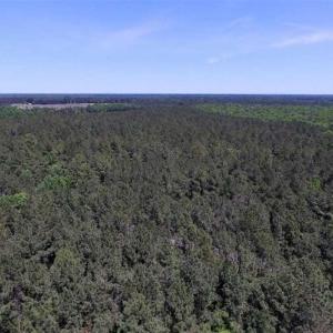 Photo of SOLD!!  5 Acres of Residential Land For Sale in Dinwiddie County VA!