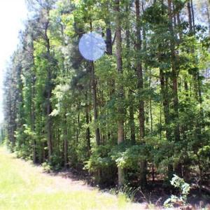Photo of SOLD!!  5 Acres of Residential Land For Sale in Dinwiddie County VA!