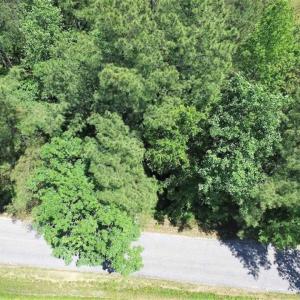 Photo of SOLD!!  5 Acres of Residential Land For Sale in Dinwiddie County VA!