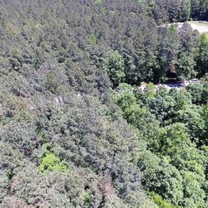 Photo of SOLD!!  5 Acres of Residential Land For Sale in Dinwiddie County VA!