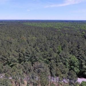 Photo of SOLD!!  5 Acres of Residential Land For Sale in Dinwiddie County VA!