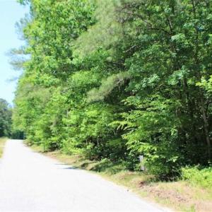 Photo of SOLD!!  5 Acres of Residential Land For Sale in Dinwiddie County VA!