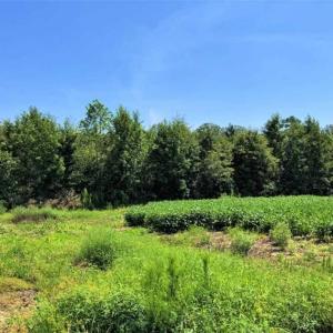 Photo of SOLD!!  21.98 Acres of Farming Hunting and Residential Land for Sale in Halifax County NC!