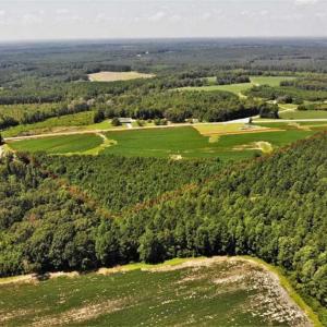 Photo of SOLD!!  21.98 Acres of Farming Hunting and Residential Land for Sale in Halifax County NC!