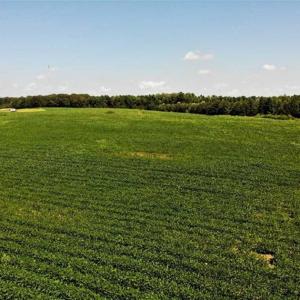 Photo of SOLD!!  21.98 Acres of Farming Hunting and Residential Land for Sale in Halifax County NC!