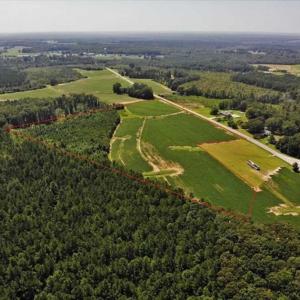 Photo of SOLD!!  21.98 Acres of Farming Hunting and Residential Land for Sale in Halifax County NC!