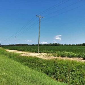 Photo of SOLD!!  21.98 Acres of Farming Hunting and Residential Land for Sale in Halifax County NC!
