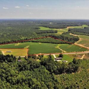 Photo of SOLD!!  21.98 Acres of Farming Hunting and Residential Land for Sale in Halifax County NC!