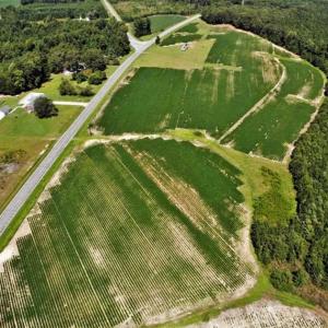 Photo of SOLD!!  21.98 Acres of Farming Hunting and Residential Land for Sale in Halifax County NC!