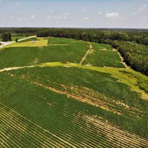 Photo of SOLD!!  21.98 Acres of Farming Hunting and Residential Land for Sale in Halifax County NC!
