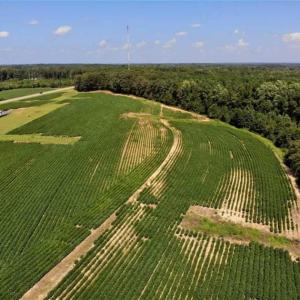 Photo of SOLD!!  21.98 Acres of Farming Hunting and Residential Land for Sale in Halifax County NC!