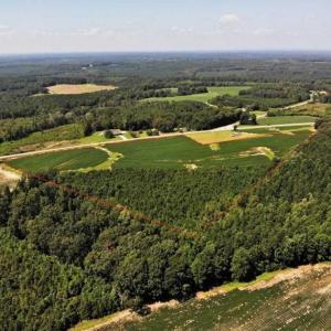 Photo of SOLD!!  21.98 Acres of Farming Hunting and Residential Land for Sale in Halifax County NC!