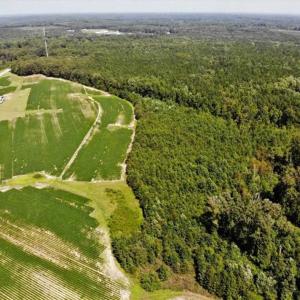 Photo of SOLD!!  21.98 Acres of Farming Hunting and Residential Land for Sale in Halifax County NC!