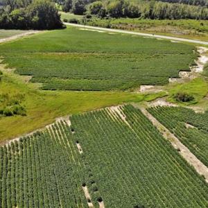 Photo of SOLD!!  21.98 Acres of Farming Hunting and Residential Land for Sale in Halifax County NC!