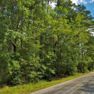 Photo of 10 acres of Timber and Residential Land for Sale in Suffolk County VA!