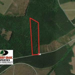 Photo of 10 acres of Timber and Residential Land for Sale in Suffolk County VA!