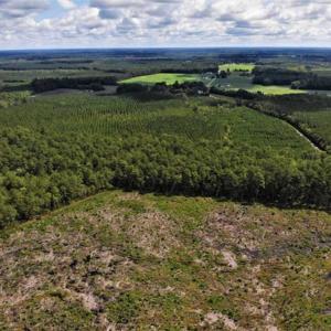 Photo of 10 acres of Timber and Residential Land for Sale in Suffolk County VA!