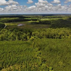 Photo of 10 acres of Timber and Residential Land for Sale in Suffolk County VA!