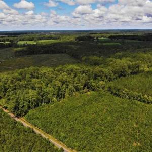 Photo of 10 acres of Timber and Residential Land for Sale in Suffolk County VA!