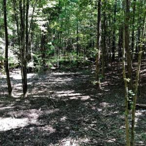 Photo of SOLD!! 6.25 Acres of Residential Land For Sale in Person County NC!