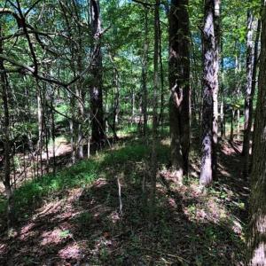 Photo of SOLD!! 6.25 Acres of Residential Land For Sale in Person County NC!
