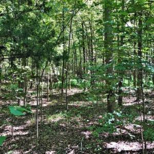 Photo of SOLD!! 6.25 Acres of Residential Land For Sale in Person County NC!