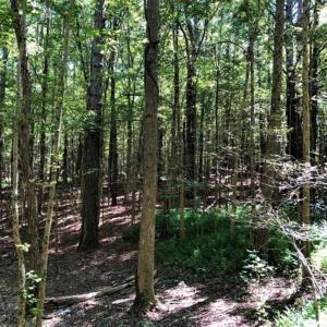 Photo of SOLD!! 6.25 Acres of Residential Land For Sale in Person County NC!