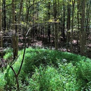 Photo of SOLD!! 6.25 Acres of Residential Land For Sale in Person County NC!