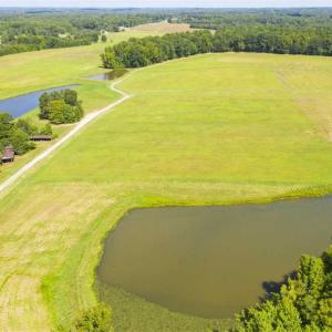 Photo of 12.16 Acre Homesite with Pond For Sale in Alamance County NC!