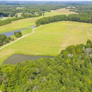 Photo of 12.16 Acre Homesite with Pond For Sale in Alamance County NC!