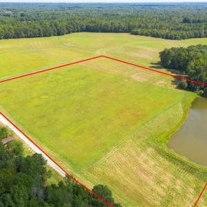Photo of 12.16 Acre Homesite with Pond For Sale in Alamance County NC!