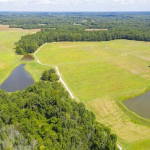 Photo of 12.16 Acre Homesite with Pond For Sale in Alamance County NC!