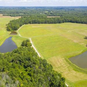 Photo of 12.16 Acre Homesite with Pond For Sale in Alamance County NC!