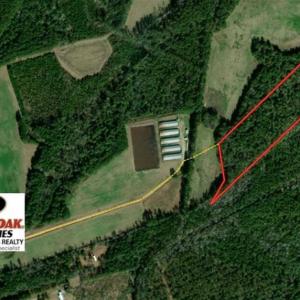 Photo of UNDER CONTRACT!!  18 Acres of  Timber and Hunting Land For Sale in Columbus County NC!