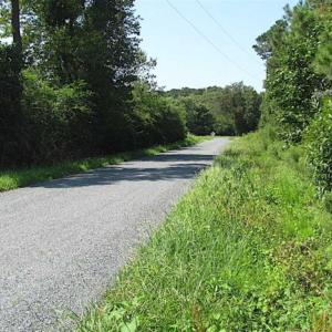 Photo of SOLD!!  36.5 Acres of Hunting Land for Sale in Accomack County Virginia!