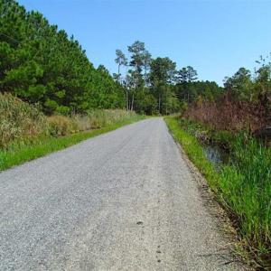 Photo of SOLD!!  36.5 Acres of Hunting Land for Sale in Accomack County Virginia!