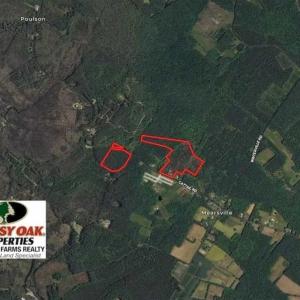 Photo of SOLD!!  36.5 Acres of Hunting Land for Sale in Accomack County Virginia!