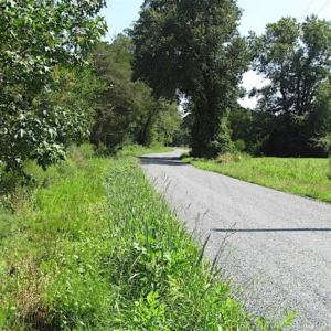 Photo of SOLD!!  36.5 Acres of Hunting Land for Sale in Accomack County Virginia!