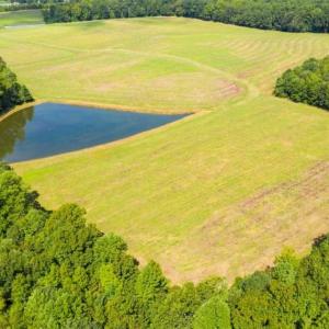Photo of 10.01 Acre Homesite with Pond for Sale in Alamance County NC!