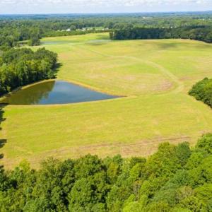 Photo of 10.01 Acre Homesite with Pond for Sale in Alamance County NC!